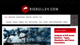 What Bigbull24.com website looks like in 2024 