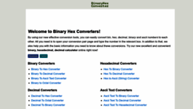 What Binaryhexconverter.com website looks like in 2024 
