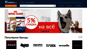 What Barbosu.ru website looks like in 2024 