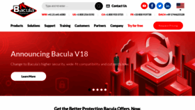 What Baculasystems.com website looks like in 2024 