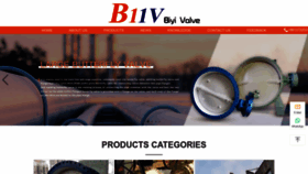 What Biyi-valves.com website looks like in 2024 