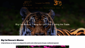 What Bigcatrescue.org website looks like in 2024 