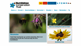 What Bumblebeeconservation.org website looks like in 2024 