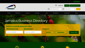 What Businessja.com website looks like in 2024 