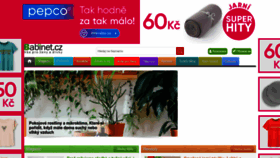 What Babinet.cz website looked like in 2024 (1 year ago)