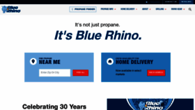 What Bluerhino.com website looks like in 2024 