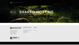 What Brinkster.com website looks like in 2024 