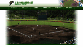 What Ballpark-sanjo.com website looks like in 2024 
