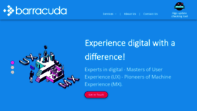 What Barracuda.digital website looks like in 2024 