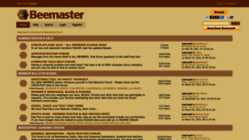 What Beemaster.com website looks like in 2024 