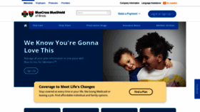 What Bcbsil.com website looks like in 2024 