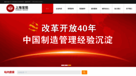What Bao21.cn website looks like in 2024 