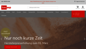 What Bausep.de website looks like in 2024 
