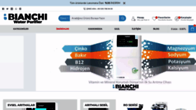 What Bianchiwater.com website looks like in 2024 