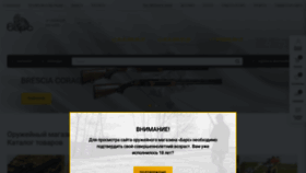 What Bars-guns.ru website looks like in 2024 