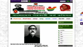 What Bpsc.gov.bd website looks like in 2024 