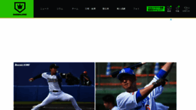 What Baseballking.jp website looked like in 2024 (1 year ago)