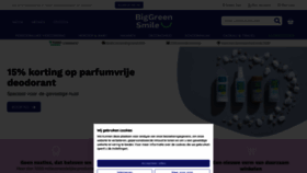 What Biggreensmile.nl website looks like in 2024 