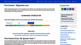 What Bilgineferi.com website looks like in 2024 