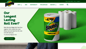 What Bountytowels.com website looks like in 2024 
