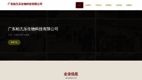 What Baikangle.top website looks like in 2024 