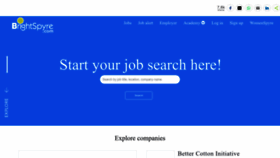 What Brightspyre.com website looks like in 2024 