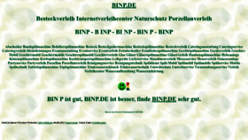 What Binp.de website looks like in 2024 