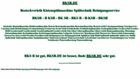 What Bksr.de website looks like in 2024 