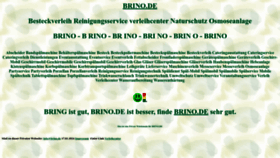 What Brino.de website looks like in 2024 