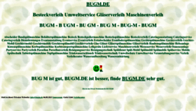 What Bugm.de website looks like in 2024 