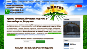 What Blagoe1.ru website looks like in 2024 