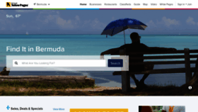 What Bermudayp.com website looks like in 2024 