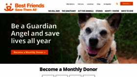 What Bestfriends.org website looked like in 2024 (1 year ago)