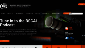 What Bscai.org website looks like in 2024 