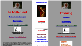 What Baillement.com website looks like in 2024 
