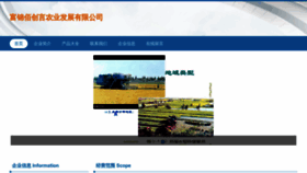 What Baichuangyan.com website looks like in 2024 