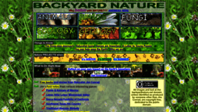 What Backyardnature.net website looks like in 2024 