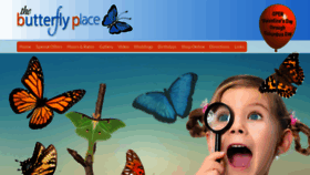What Butterflyplace-ma.com website looks like in 2024 