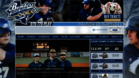 What Bvbombers.com website looks like in 2024 
