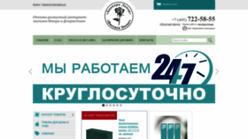What Baccara-decor.ru website looks like in 2024 