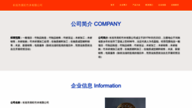 What Berniewang.cn website looks like in 2024 