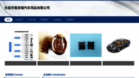 What Bexzcsr.cn website looks like in 2024 