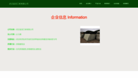 What Blnvnic.cn website looks like in 2024 