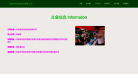 What Bus32.cn website looks like in 2024 