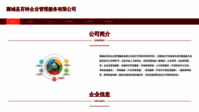 What Bvlewbt.cn website looks like in 2024 