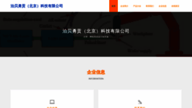 What Bbyonggong.com website looks like in 2024 
