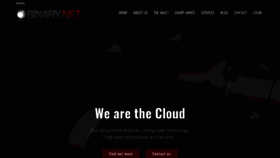 What Binary.net website looked like in 2024 (2 years ago)