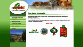 What Copvial.fr website looked like in 2012 (11 years ago)