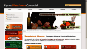 What Carnetmanipuladordealimentos.org website looked like in 2013 (11 years ago)