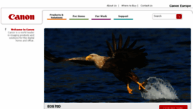 What Canon-europa.com website looked like in 2013 (11 years ago)